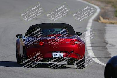 media/Nov-19-2023-Extreme Speed (Sun) [[bd0eec5490]]/Purple/Back Shots/